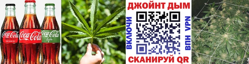darknet какой сайт  Елабуга  Canna-Cookies конопля 