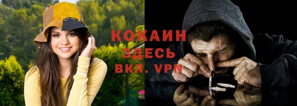 mix Богородицк