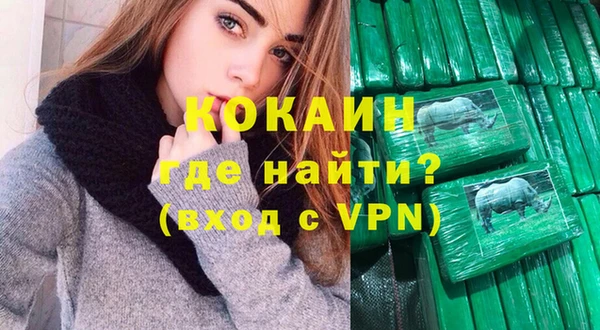 индика Богородск