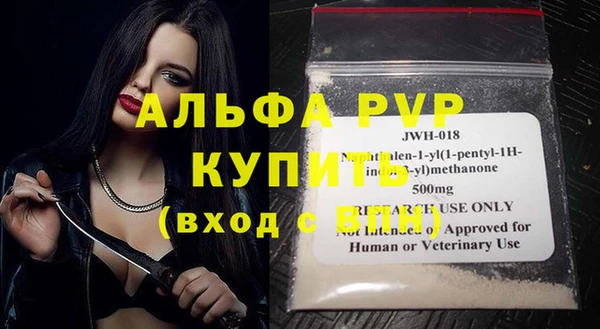 индика Богородск