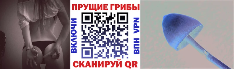 Галлюциногенные грибы Cubensis  Елабуга 